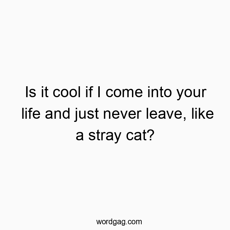 Is it cool if I come into your life and just never leave, like a stray cat?