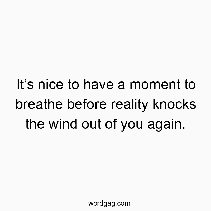 Funny wind quotes - It’s nice to have a moment to breathe before reality knocks the wind out of you again.