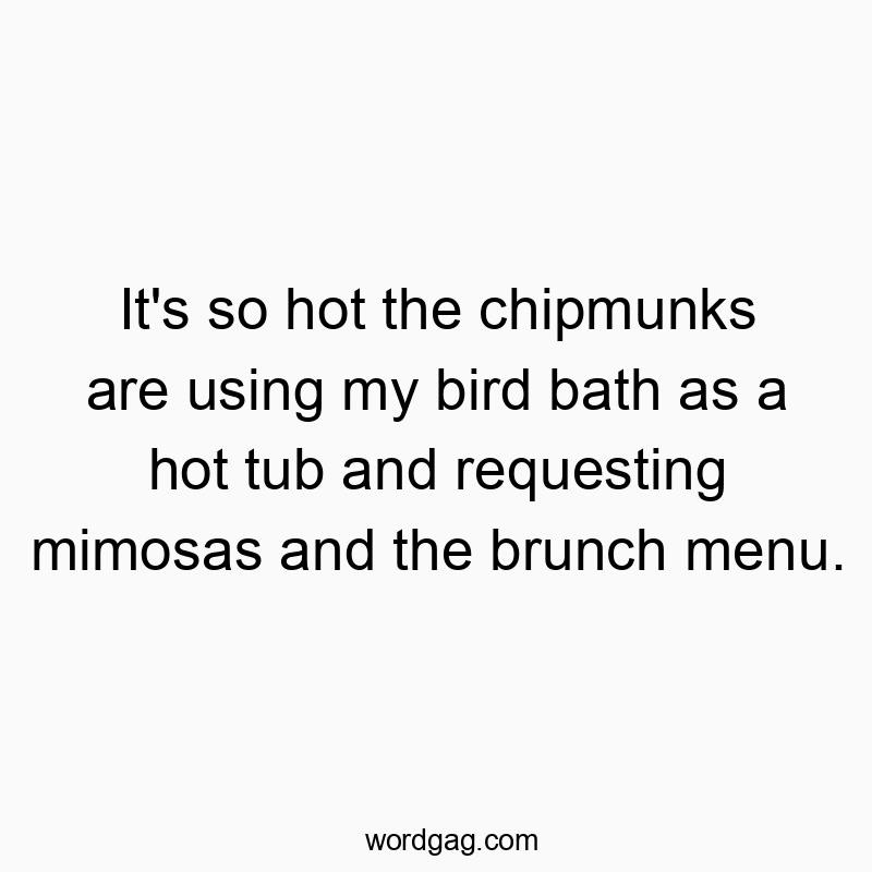 It’s so hot the chipmunks are using my bird bath as a hot tub and requesting mimosas and the brunch menu.