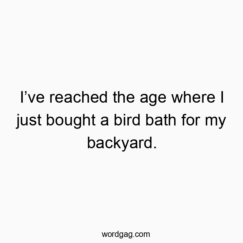 I’ve reached the age where I just bought a bird bath for my backyard.