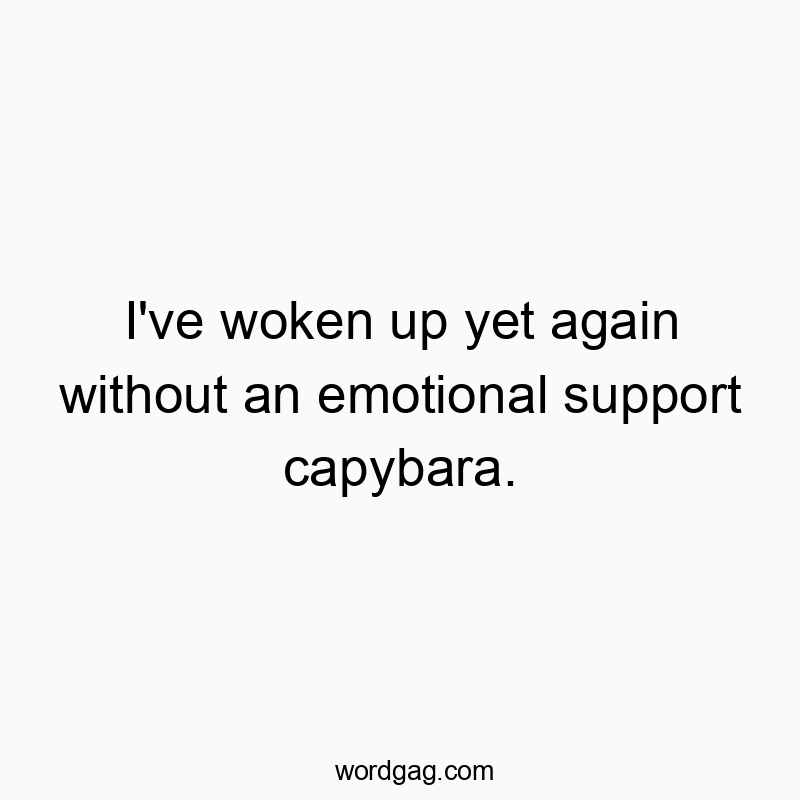 I’ve woken up yet again without an emotional support capybara.
