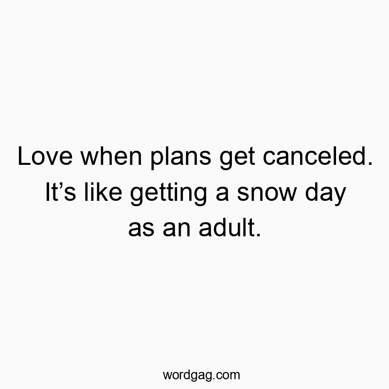 Love when plans get canceled. It’s like getting a snow day as an adult.