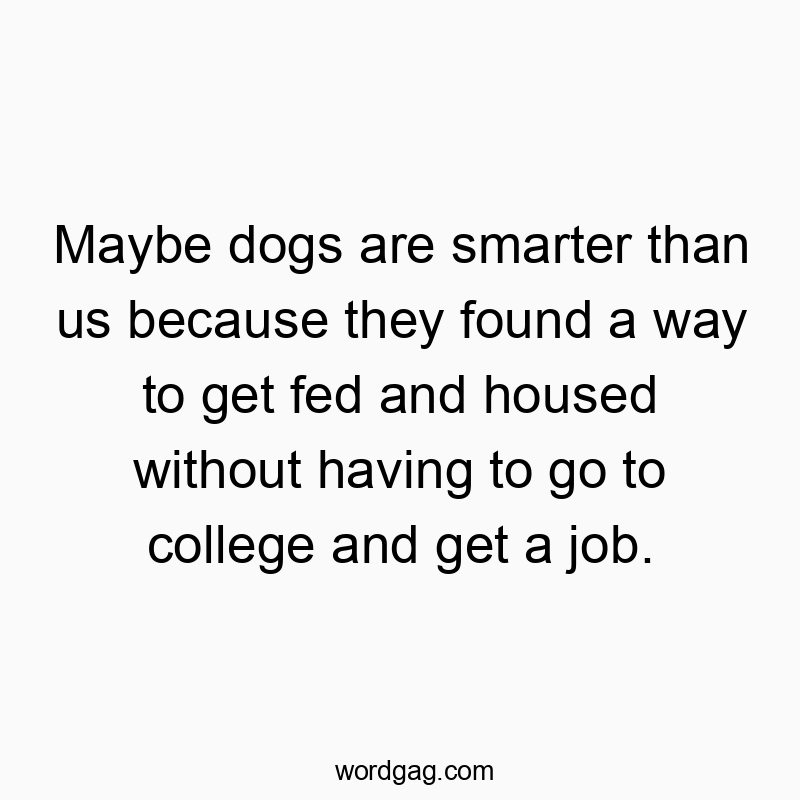 Maybe dogs are smarter than us because they found a way to get fed and housed without having to go to college and get a job.