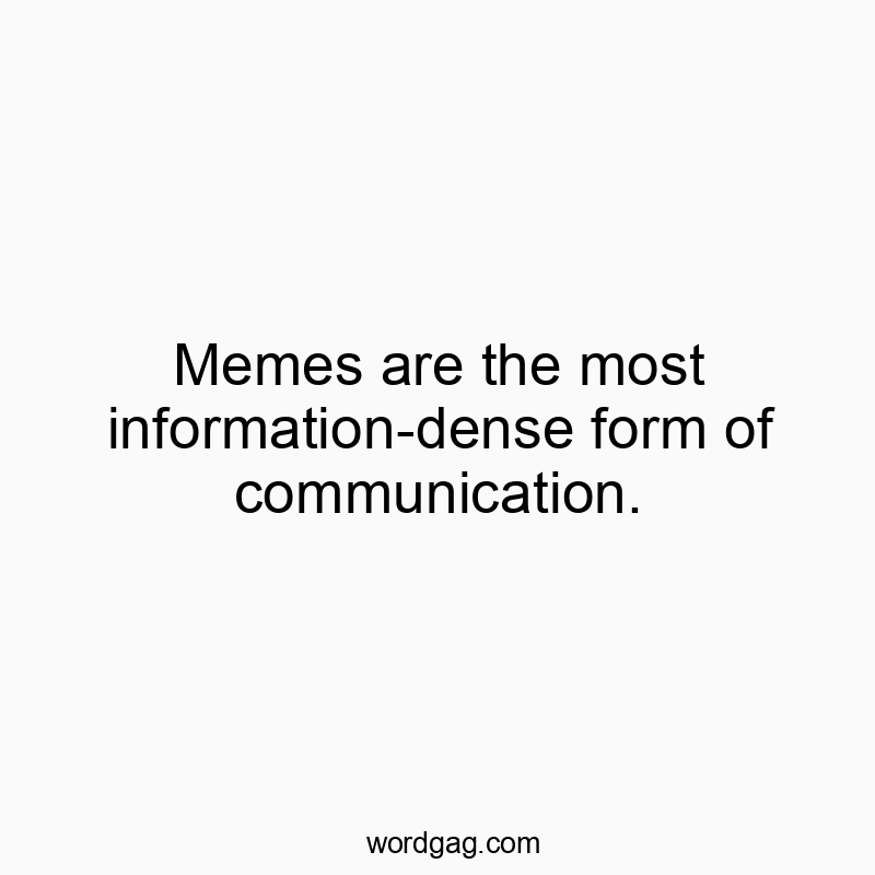 Memes are the most information-dense form of communication.