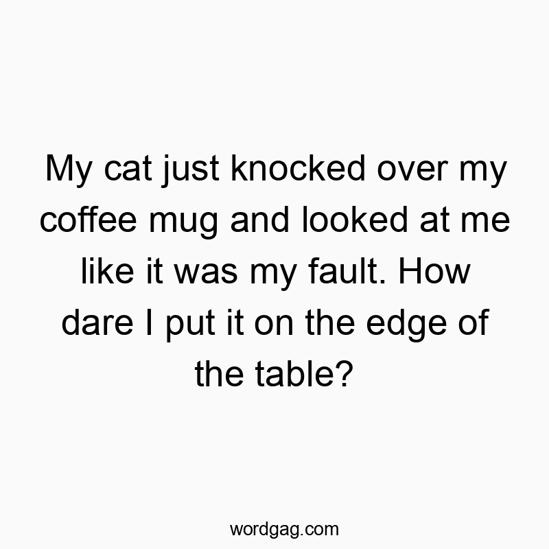 My cat just knocked over my coffee mug and looked at me like it was my fault. How dare I put it on the edge of the table?