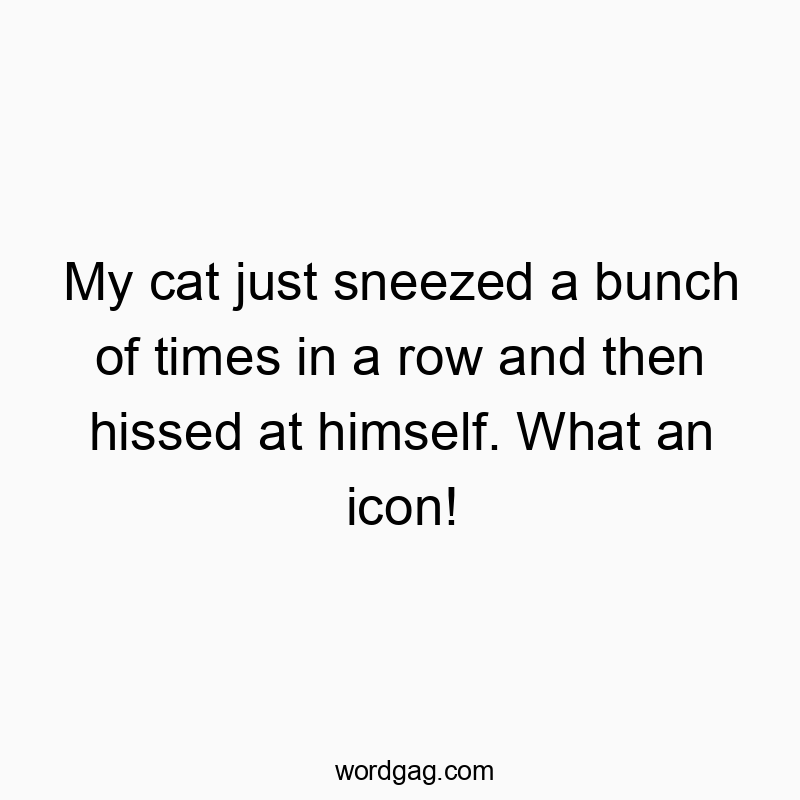 Funny just quotes - My cat just sneezed a bunch of times in a row and then hissed at himself. What an icon!