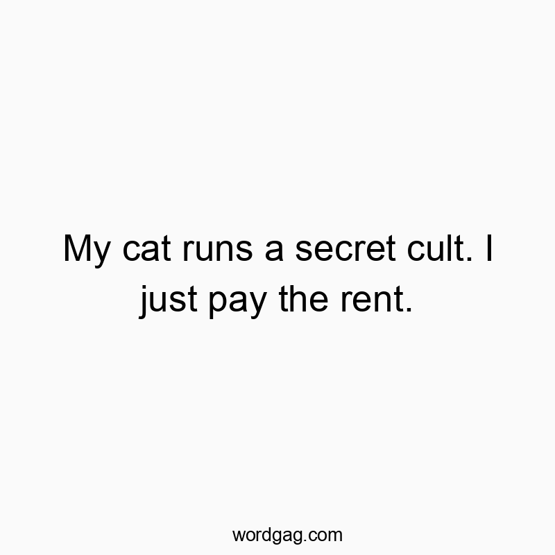 Funny pet quotes - My cat runs a secret cult. I just pay the rent.