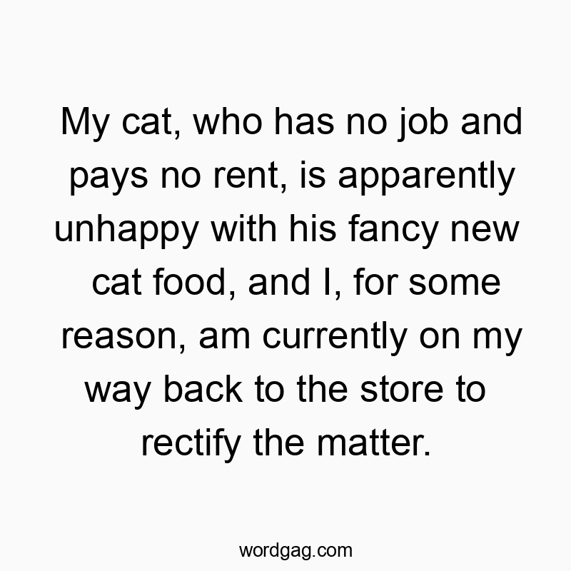 My cat, who has no job and pays no rent, is apparently unhappy with his fancy new cat food, and I, for some reason, am currently on my way back to the store to rectify the matter.