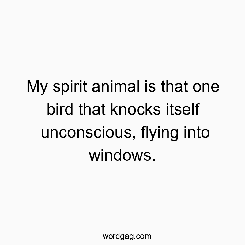 Humorous quote about a clumsy bird that crashes into windows and passes out.