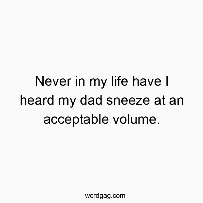 Funny never quotes - Never in my life have I heard my dad sneeze at an acceptable volume.