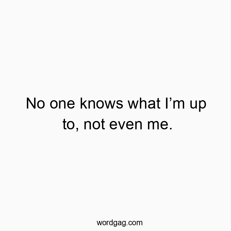 No one knows what I’m up to, not even me.