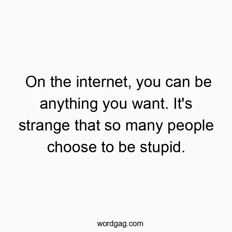Funny stupid quotes - On the internet, you can be anything you want. It’s strange that so many people choose to be stupid.