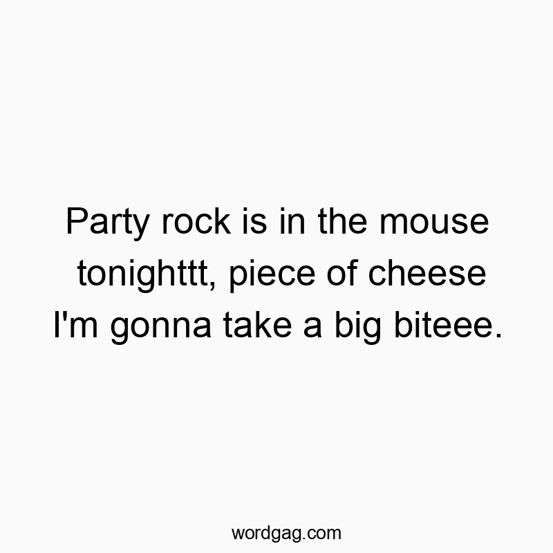 Party rock is in the mouse tonighttt, piece of cheese I’m gonna take a big biteee.