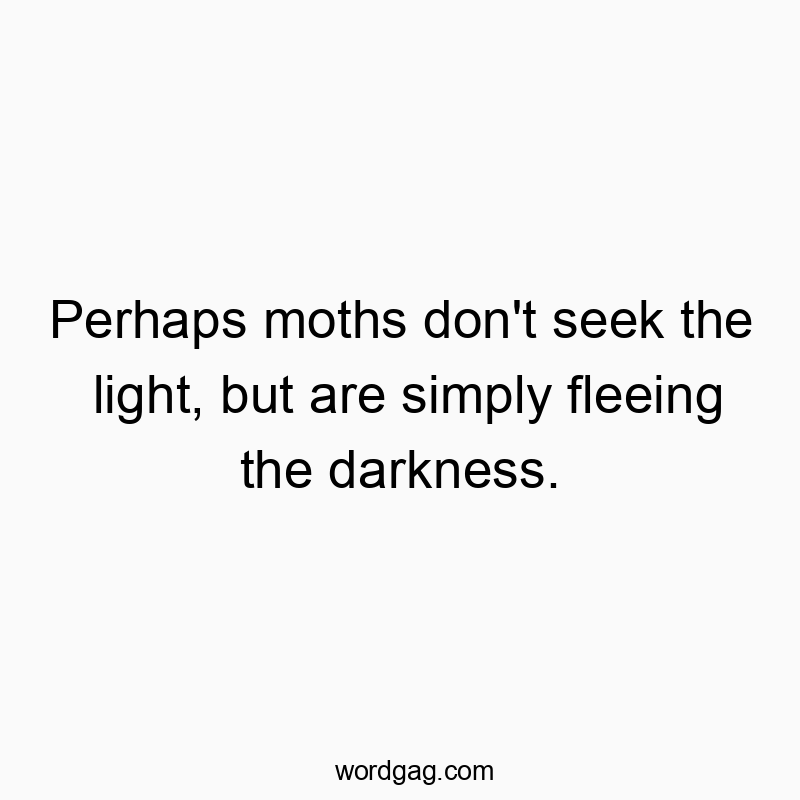 Humorous quote about moths fleeing darkness, playful and thought-provoking in tone.