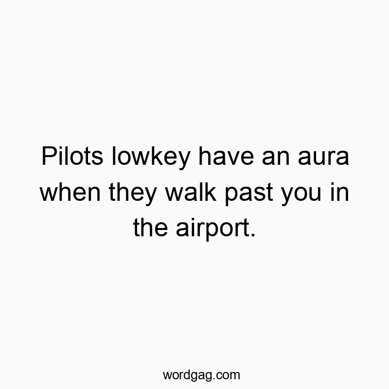Pilots lowkey have an aura when they walk past you in the airport.