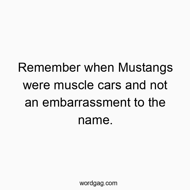 Remember when Mustangs were muscle cars and not an embarrassment to the name.