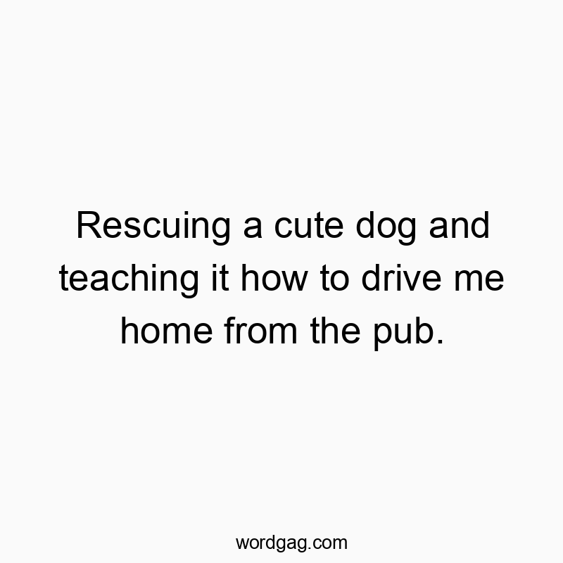 Funny pet quotes - Rescuing a cute dog and teaching it how to drive me home from the pub.