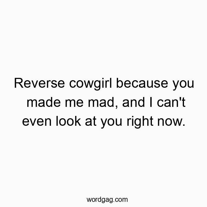 Reverse cowgirl because you made me mad, and I can’t even look at you right now.