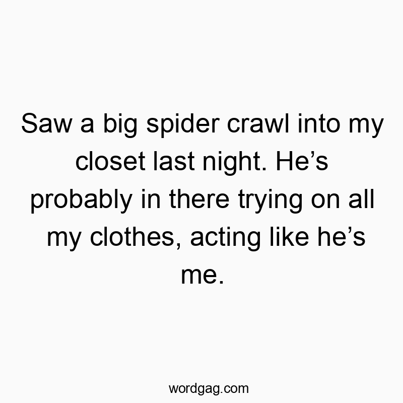 Saw a big spider crawl into my closet last night. Heโs probably in there trying on all my clothes, acting like heโs me.