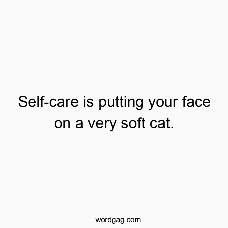 Self-care is putting your face on a very soft cat.