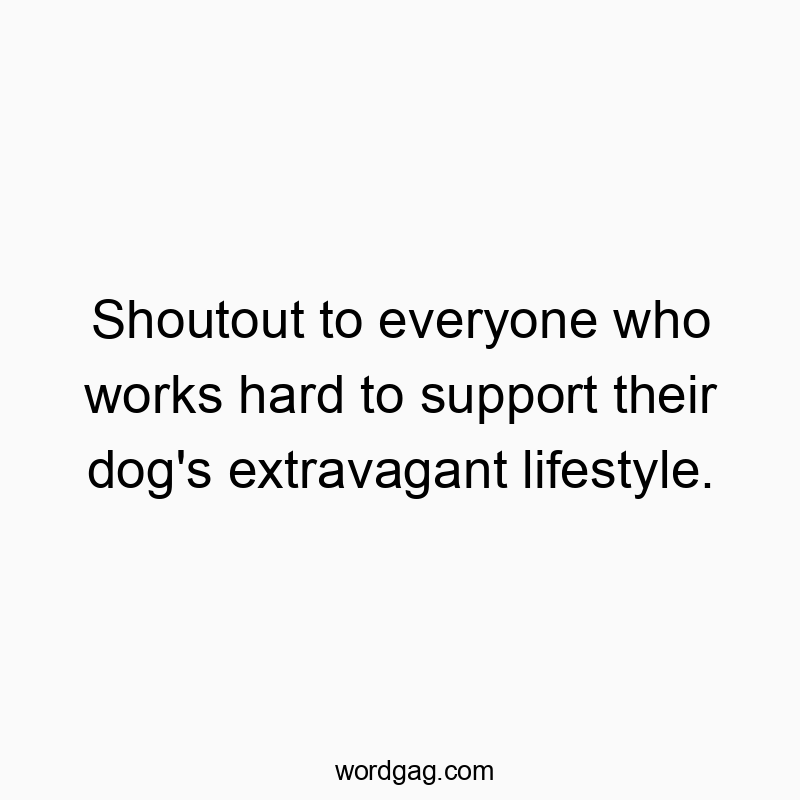 Shoutout to everyone who works hard to support their dog’s extravagant lifestyle.