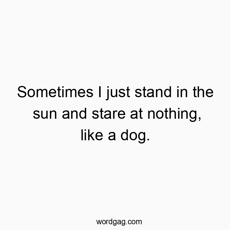 Funny solitude quotes - Sometimes I just stand in the sun and stare at nothing, like a dog.