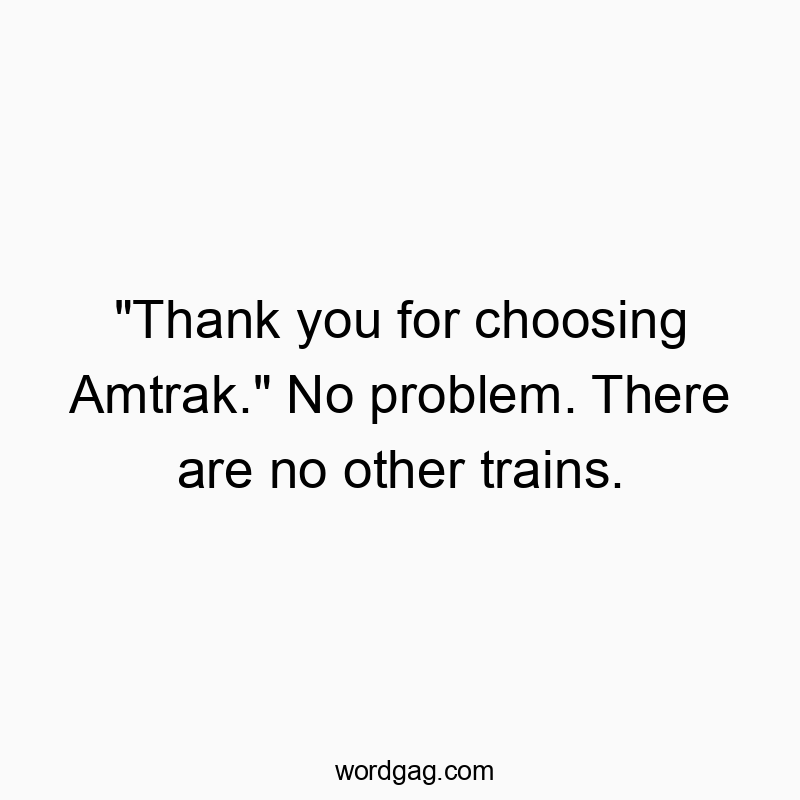 “Thank you for choosing Amtrak.” No problem. There are no other trains.