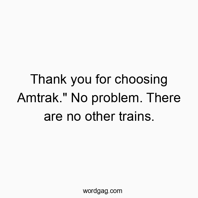 Thank you for choosing Amtrak.” No problem. There are no other trains.