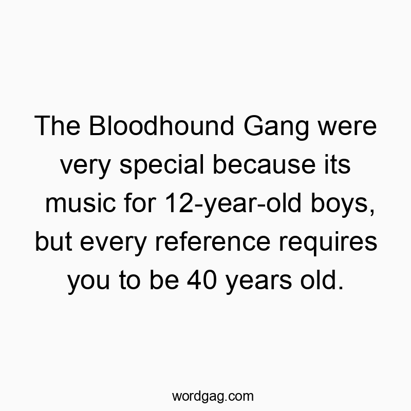 Funny age quotes - The Bloodhound Gang were very special because its music for 12-year-old boys, but every reference requires you to be 40 years old.