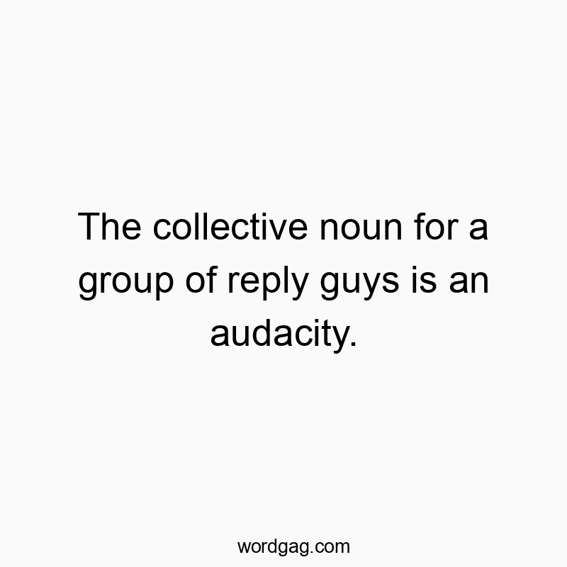 The collective noun for a group of reply guys is an audacity.