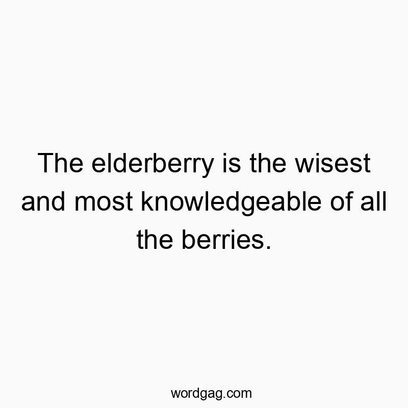 Funny knowledge quotes - The elderberry is the wisest and most knowledgeable of all the berries.