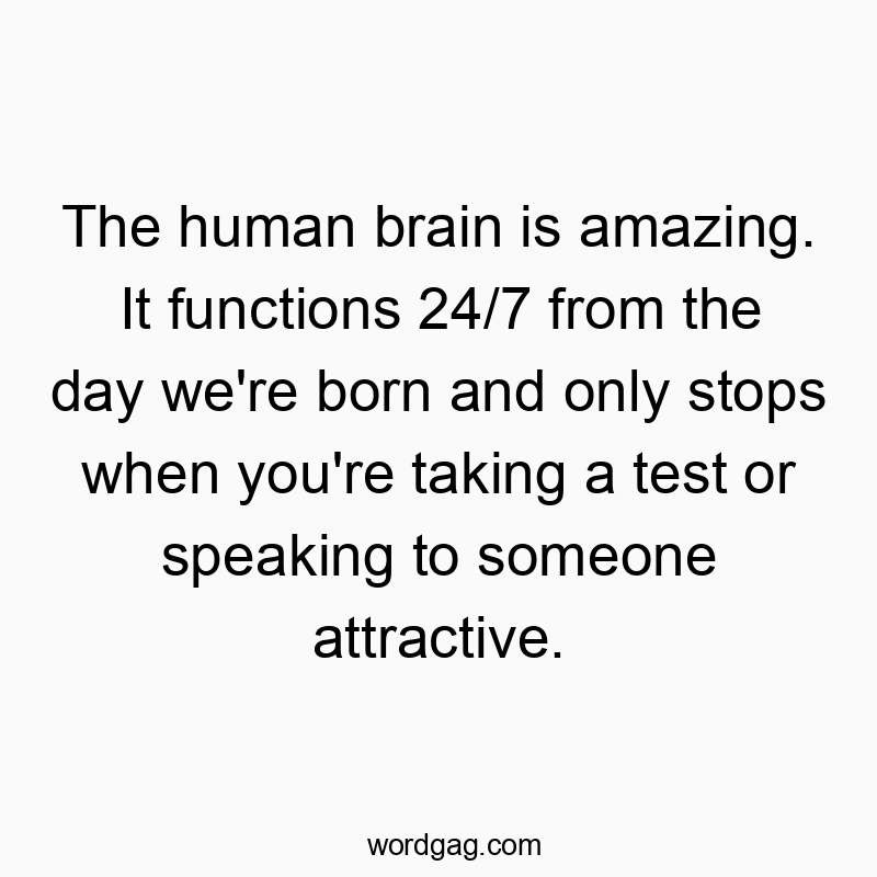 The human brain is amazing. It functions 24/7 from the day we’re born and only stops when you’re taking a test or speaking to someone attractive.