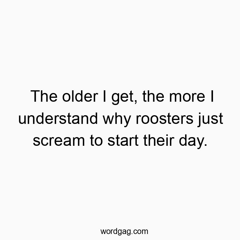 Funny daily routine quotes - The older I get, the more I understand why roosters just scream to start their day.