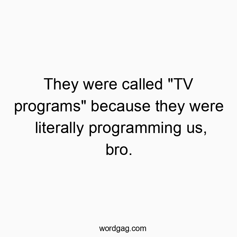 Funny media quotes - They were called “TV programs” because they were literally programming us, bro.