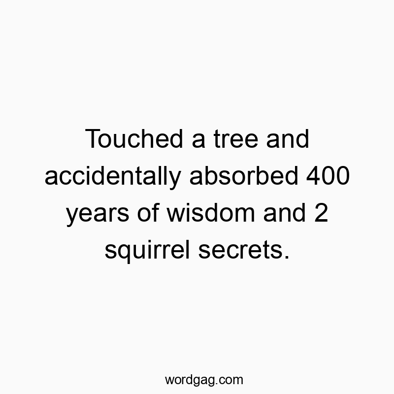 Touched a tree and accidentally absorbed 400 years of wisdom and 2 squirrel secrets.