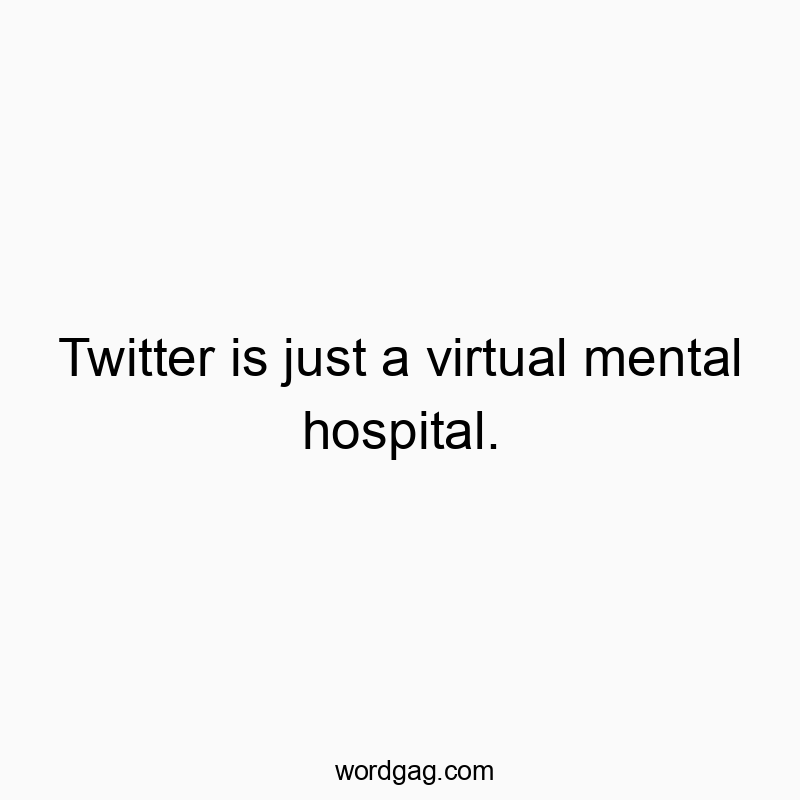 Funny media quotes - Twitter is just a virtual mental hospital.
