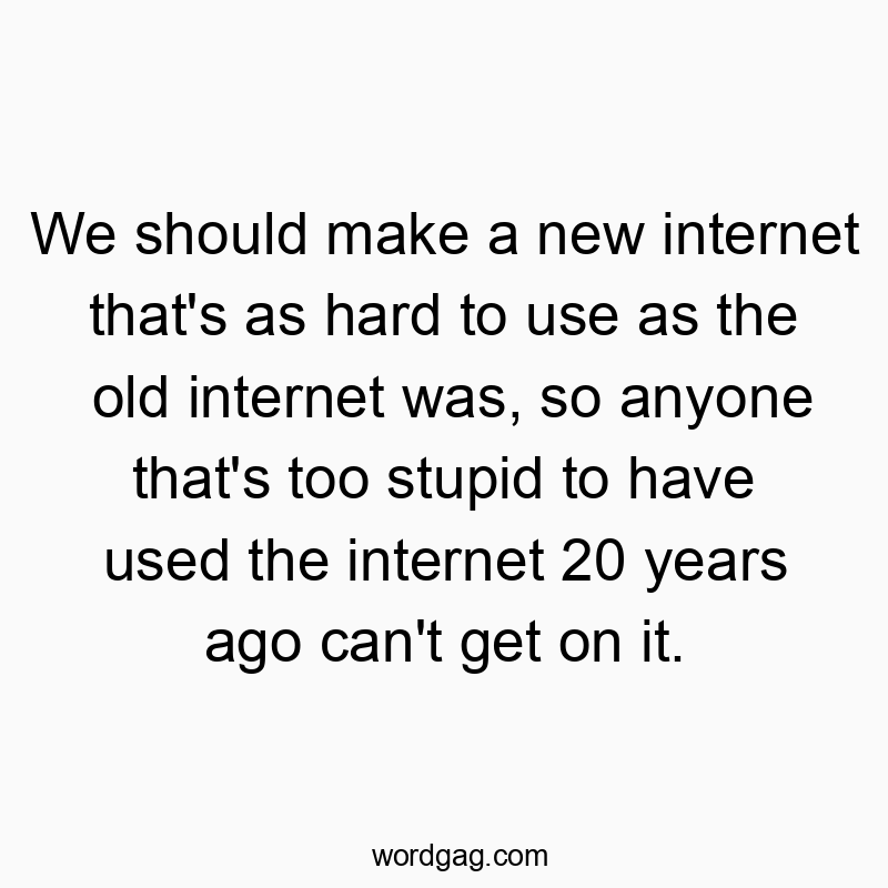 Funny age quotes - We should make a new internet that’s as hard to use as the old internet was, so anyone that’s too stupid to have used the internet 20 years ago can’t get on it.