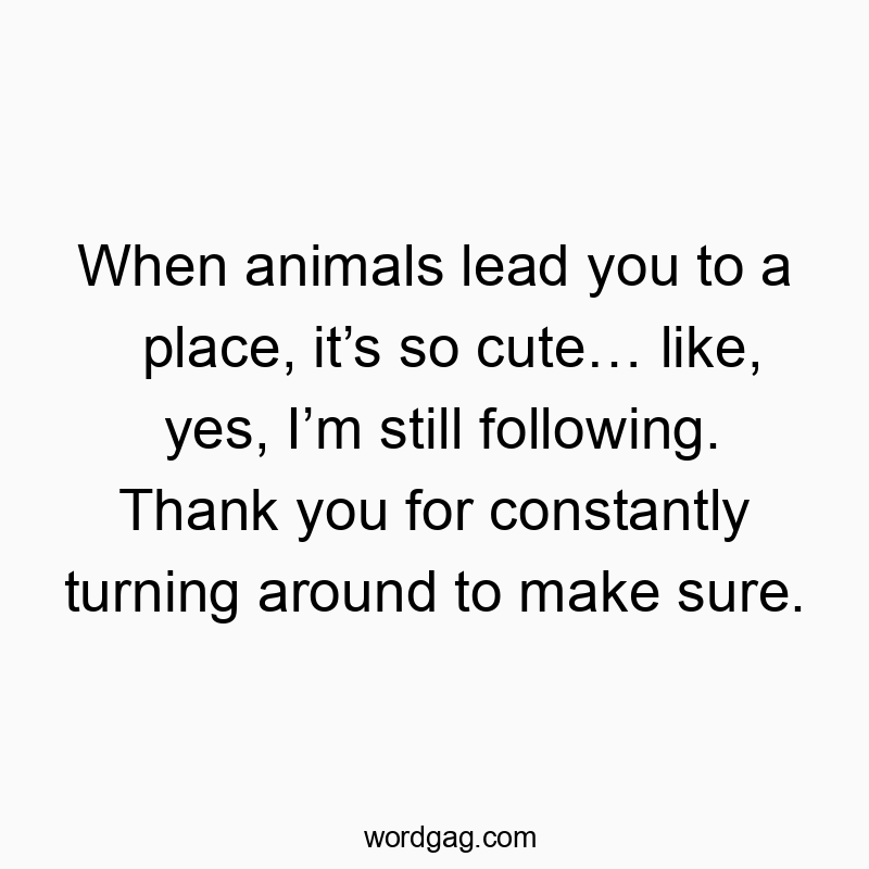 When animals lead you to a place, itβs so cuteβ¦ like, yes, Iβm still following. Thank you for constantly turning around to make sure.