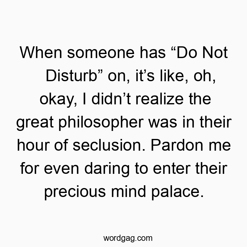 When someone has “Do Not Disturb” on, it’s like, oh, okay, I didn’t realize the great philosopher was in their hour of seclusion. Pardon me for even daring to enter their precious mind palace.