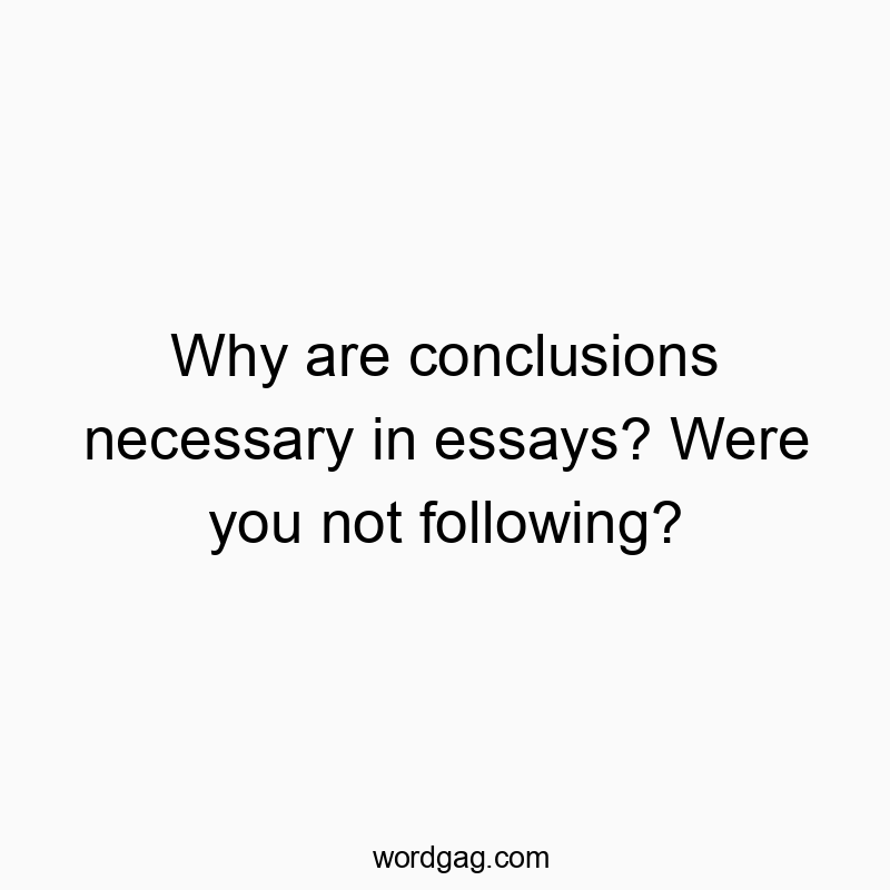 Why are conclusions necessary in essays? Were you not following?