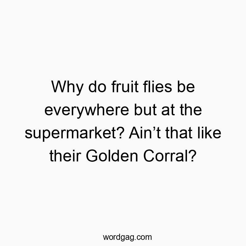 Funny fruit quotes - Why do fruit flies be everywhere but at the supermarket? Ain’t that like their Golden Corral?