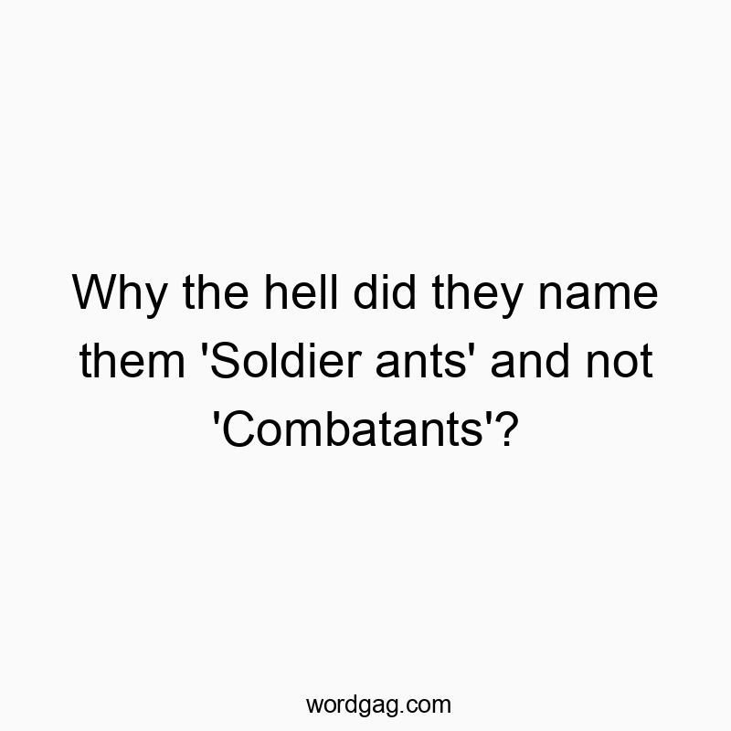 Why the hell did they name them ‘Soldier ants’ and not ‘Combatants’?
