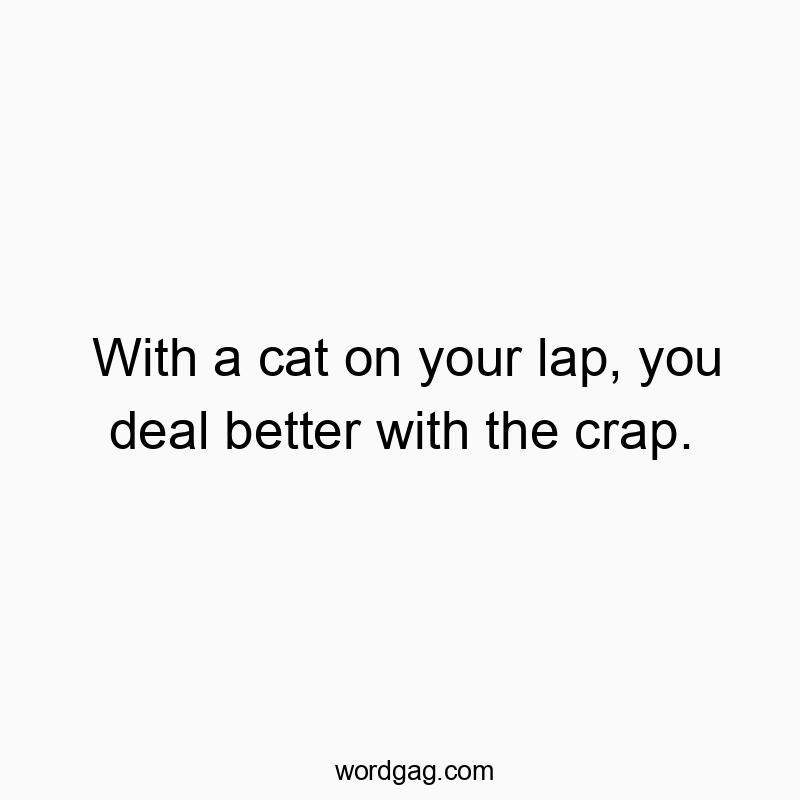 With a cat on your lap, you deal better with the crap.