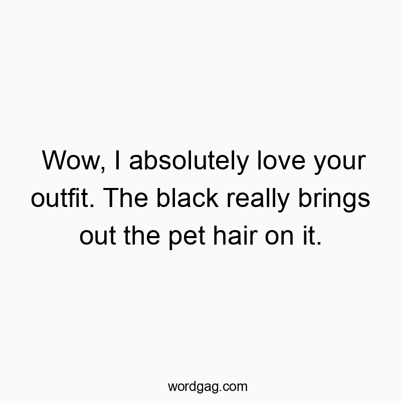 Wow, I absolutely love your outfit. The black really brings out the pet hair on it.