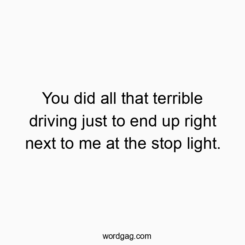You did all that terrible driving just to end up right next to me at the stop light.