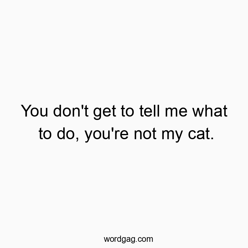 You don’t get to tell me what to do, you’re not my cat.