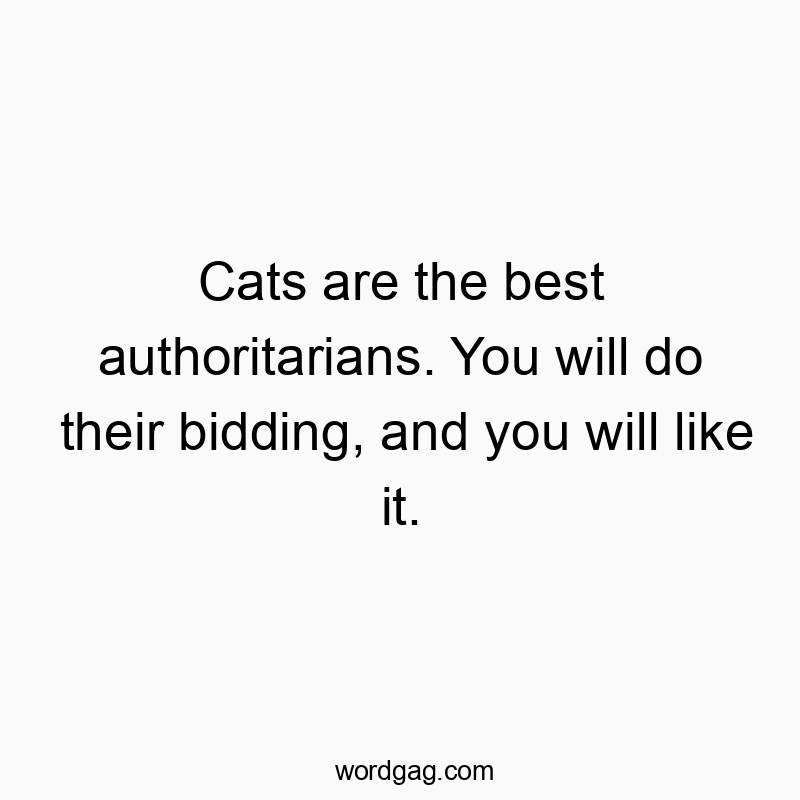 Funny domination quotes - Cats are the best authoritarians. You will do their bidding, and you will like it.