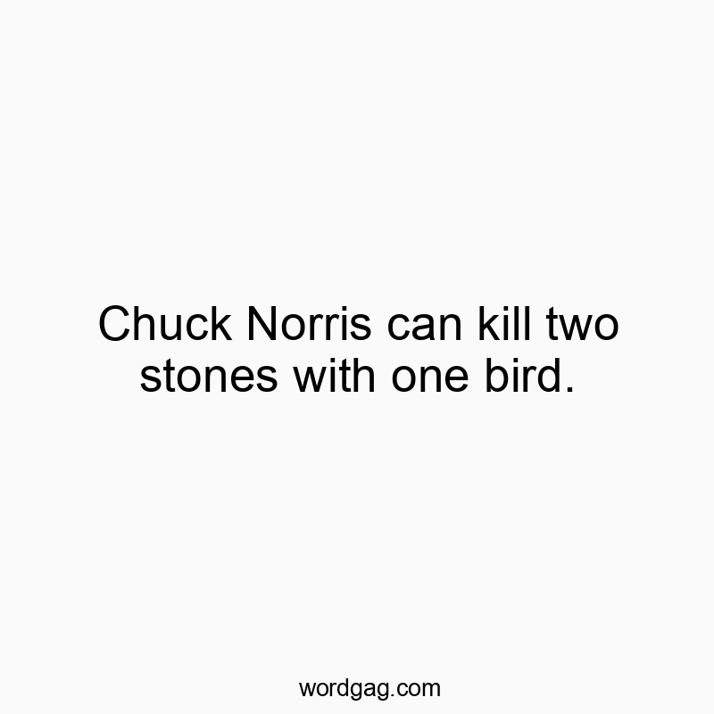 Chuck Norris can kill two stones with one bird.