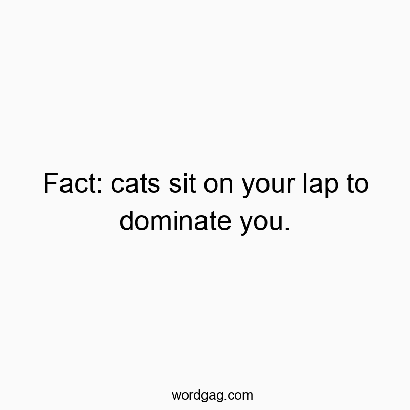 145 Funny cat quotes - Fact: cats sit on your lap to dominate you.