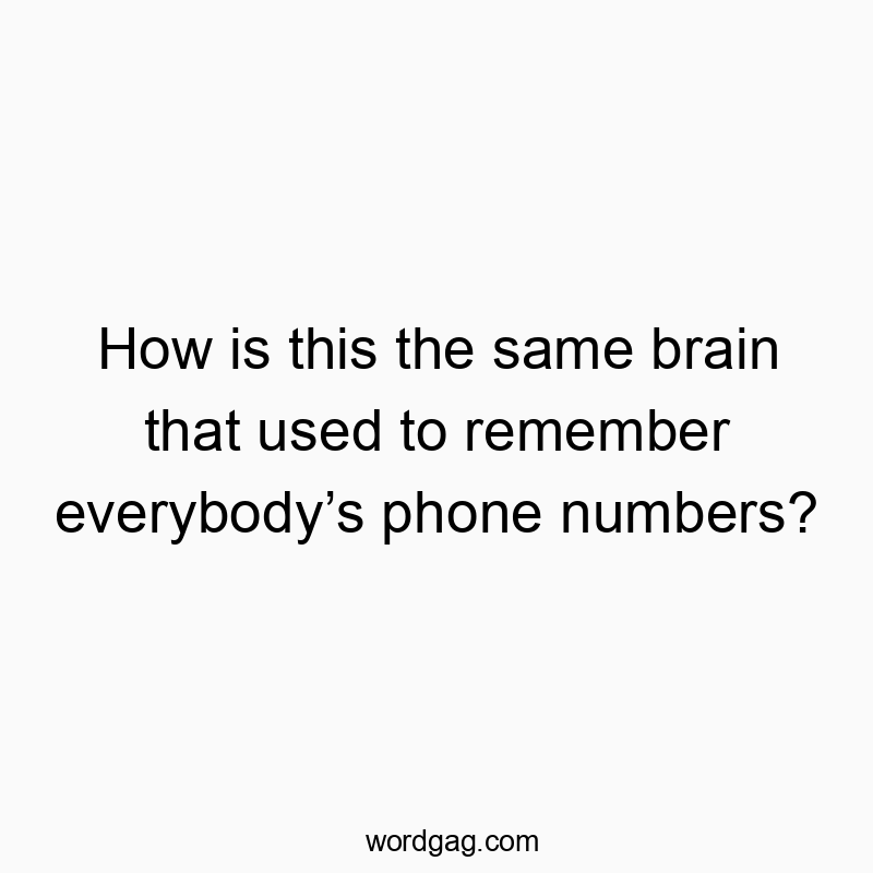 How is this the same brain that used to remember everybodyโs phone numbers?